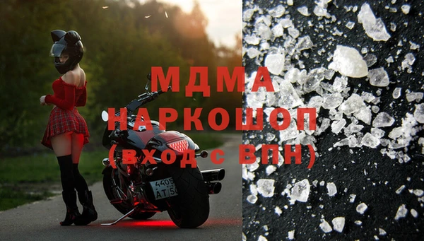 стаф Алзамай