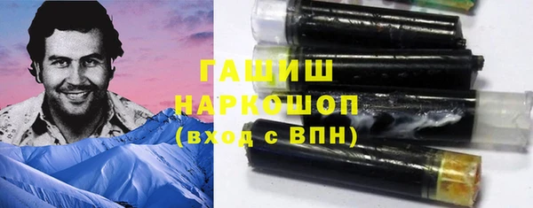 стаф Алзамай