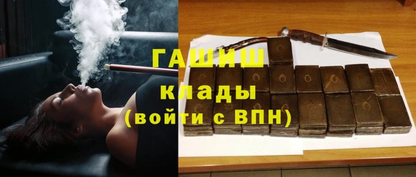стаф Алзамай