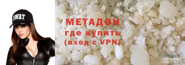 стаф Алзамай