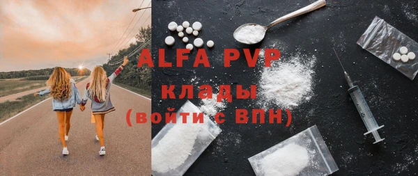 стаф Алзамай