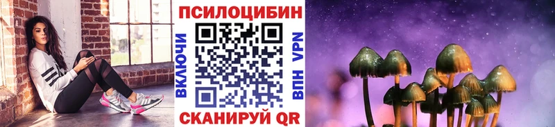 цена   Злынка  Галлюциногенные грибы мухоморы 